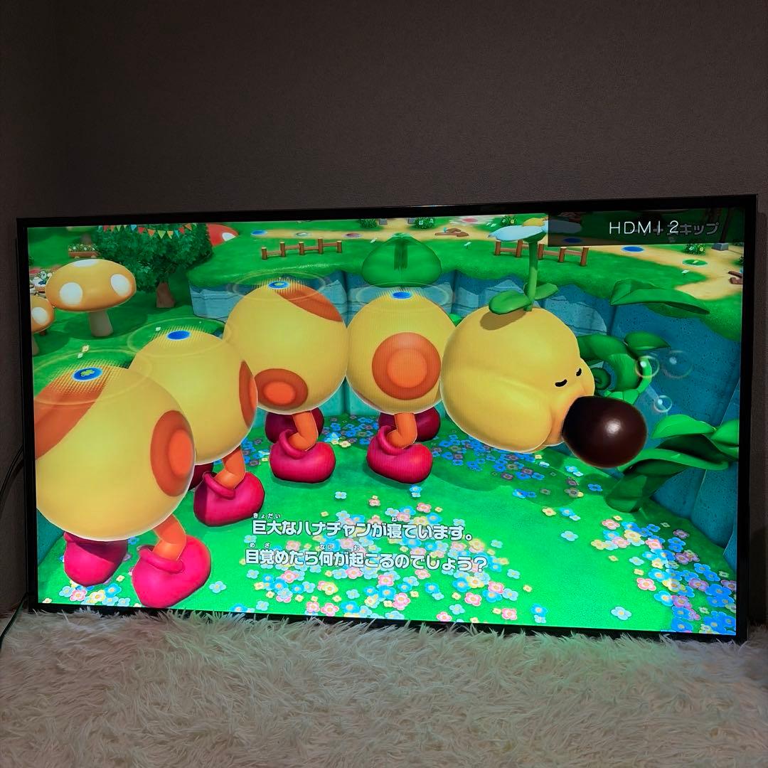 【極美品】PANASONIC VIERA TH-49EX750 4K対応