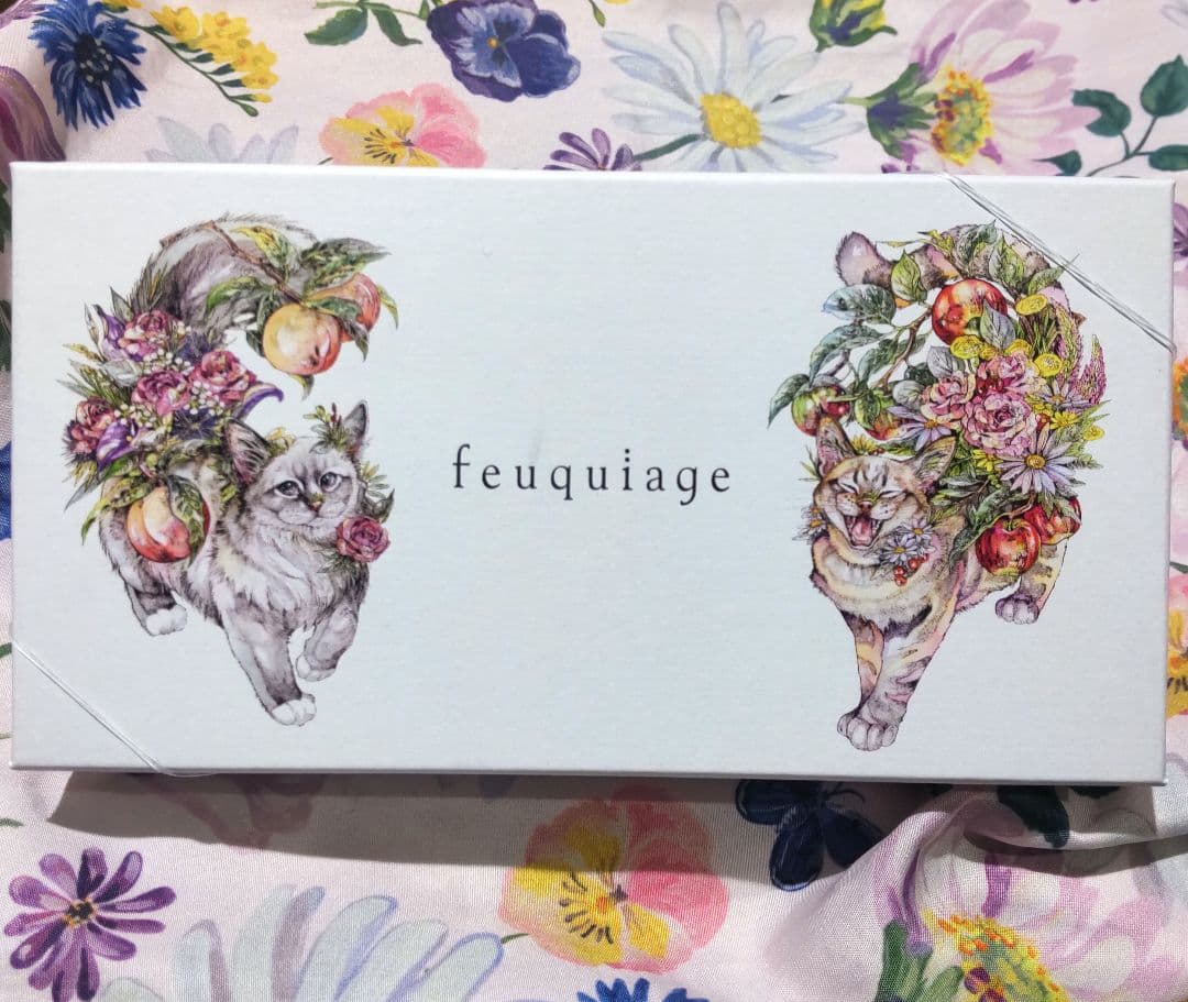 メゾンハタケヤマ フリュイコンフィ サロショ サロンデュショコラ 2026