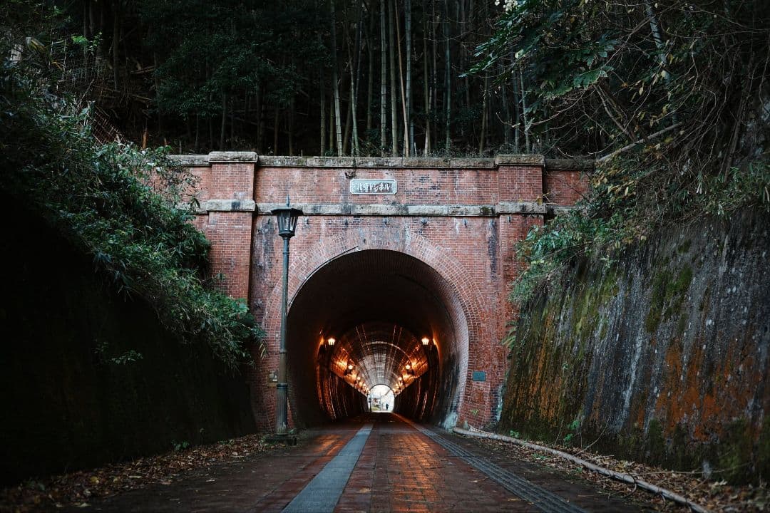 SAMYANG Remaster Slim レンズセット /リマスタースリム