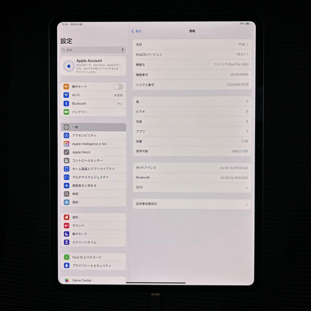 Apple iPad Pro 13 インチ (M4) Wi-Fi 1TB