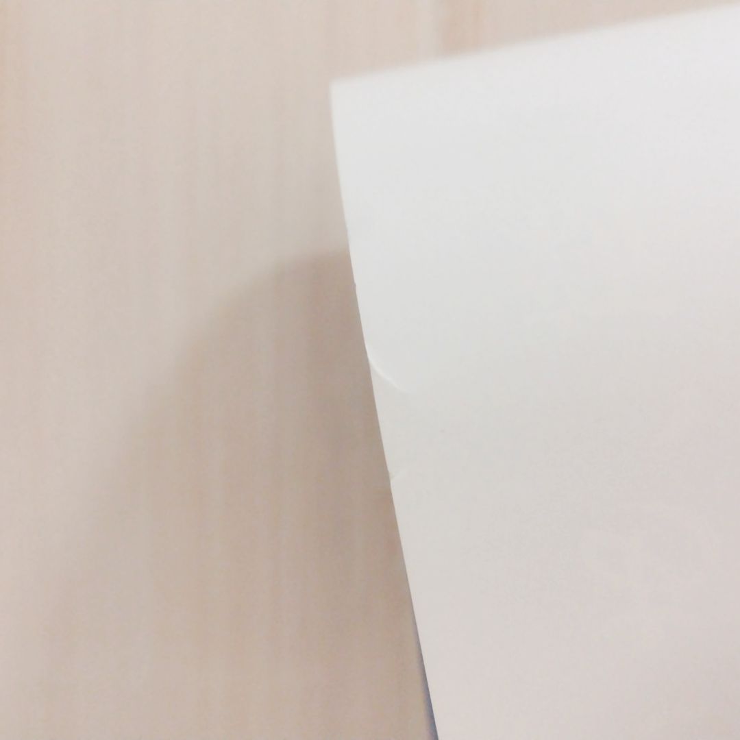 モンスターハンター　アイスボーン　クロス　非売品　ポスター　２点セット