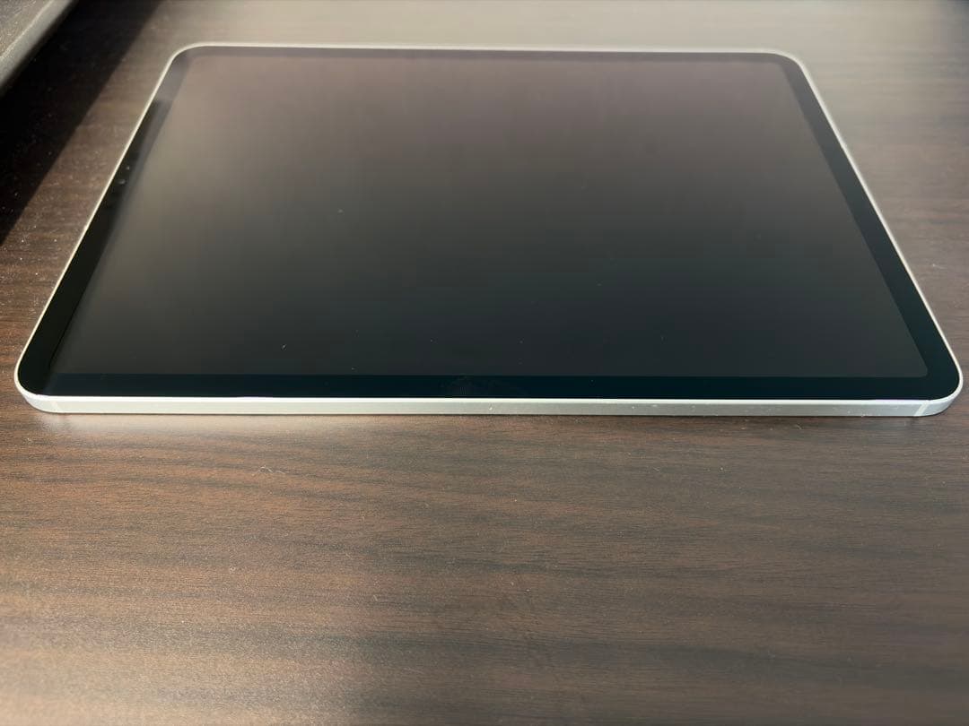 iPadPro11インチ256GB Cellularモデル　底値