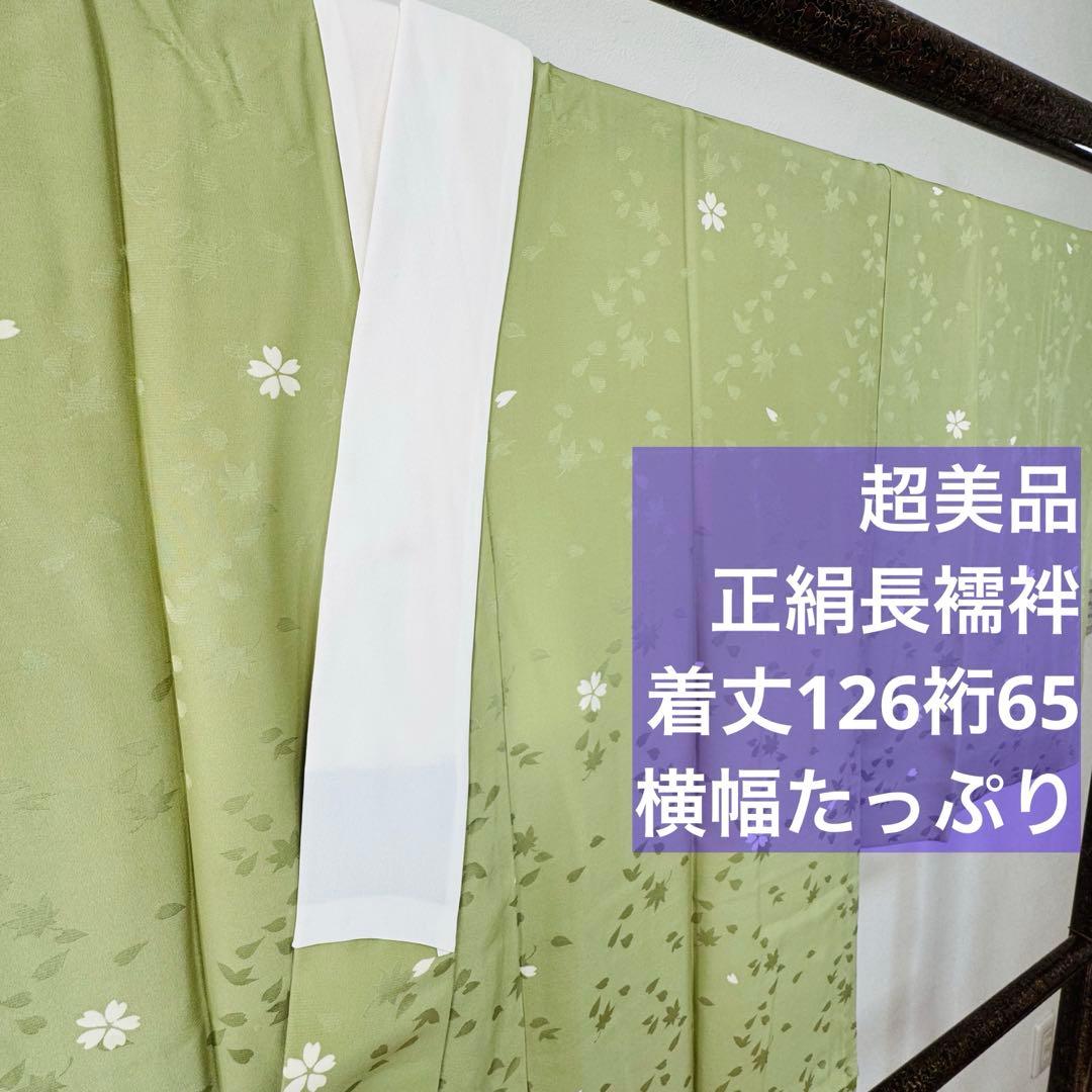 超美品　正絹　長襦袢　袖無双　現代　着物　和装　126裄65　黄緑　桜　ワイド