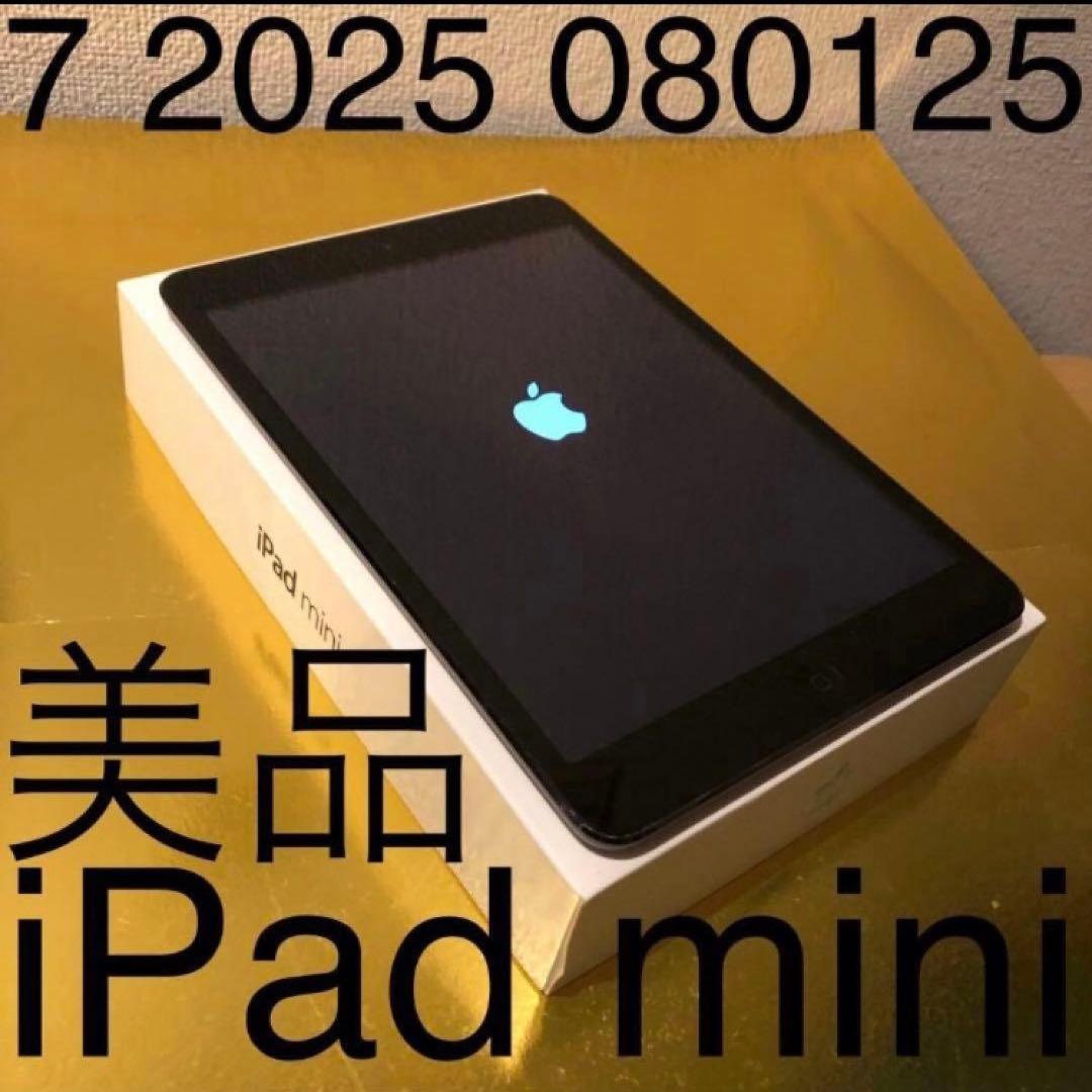 7 2025 080125 美品 iPad mini アイパッドミニ 黒ブラック