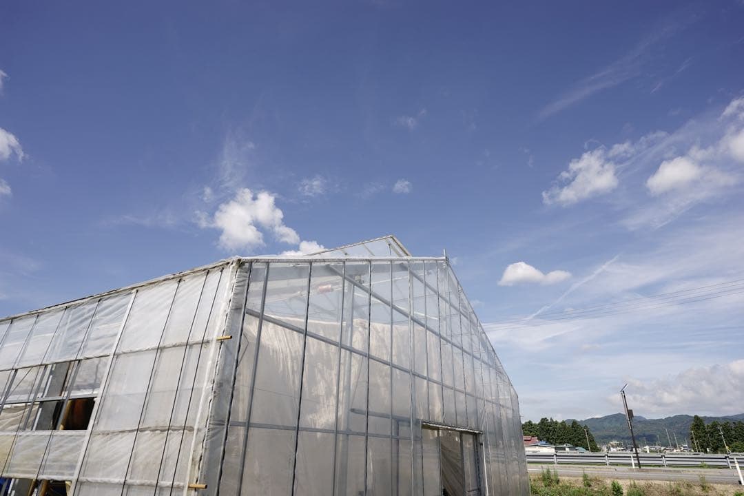 作例付き　TOKINA FiRIN 20mm F2 MF Eマウント　管mpr