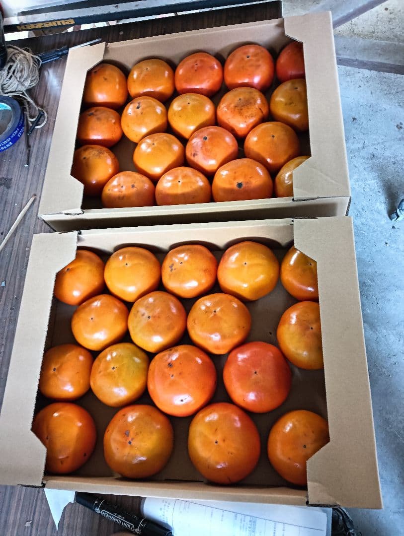 富有柿　ゆるリんさん専用