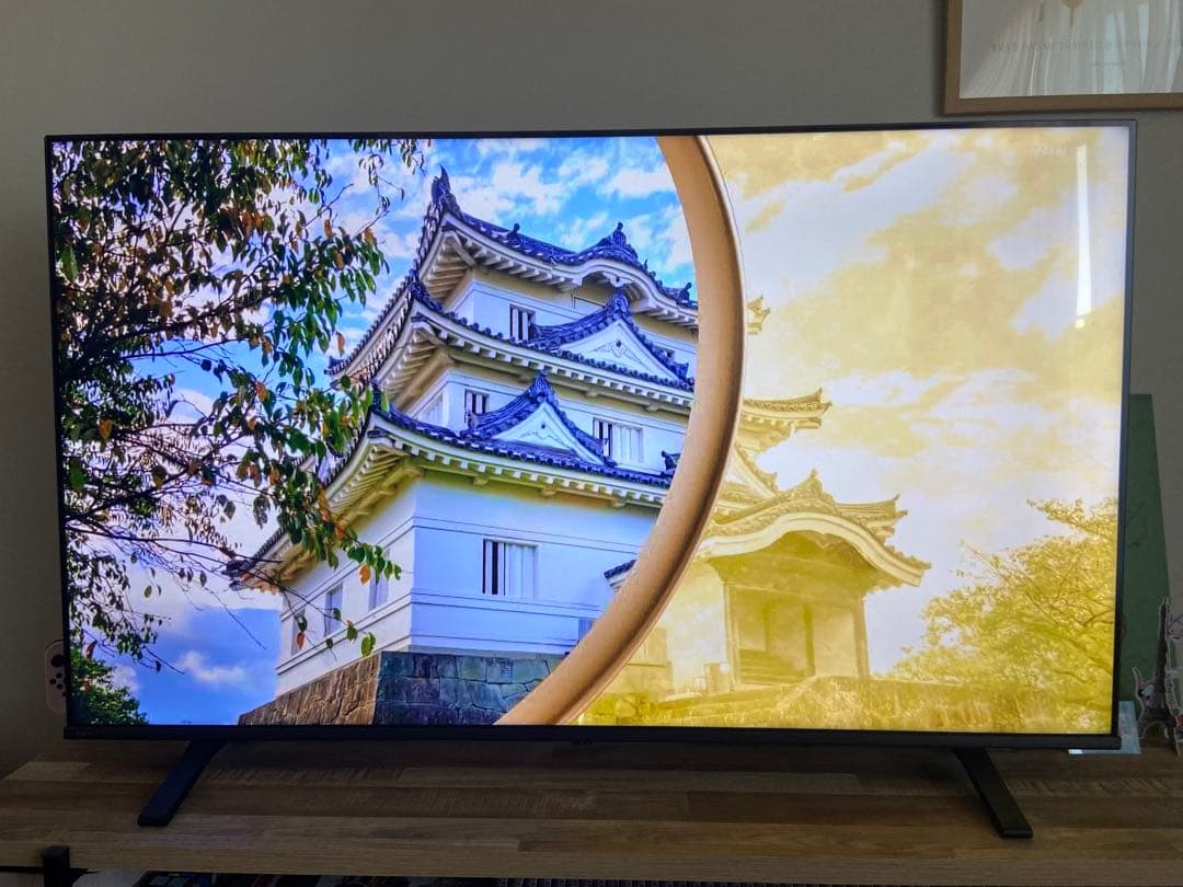 東芝 REGZA 55インチ 4K液晶 E350M スマートテレビ