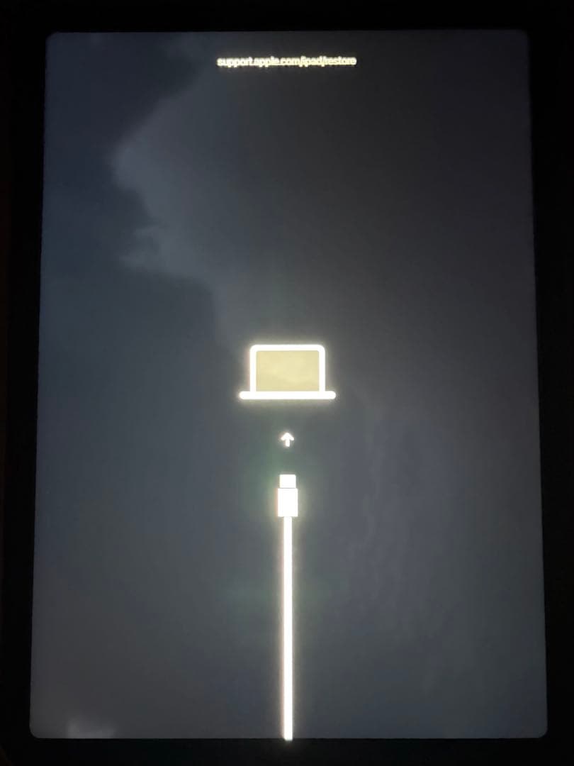 【ジャンク品】iPad Air 11インチ(M2) Wi-Fiモデル128GB