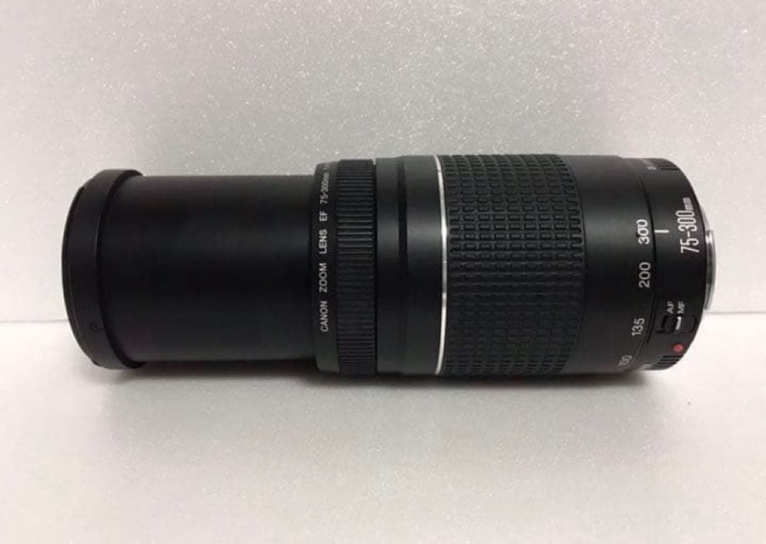イベント☆大迫力の300㎜☆キャノン Canon EF75-300㎜