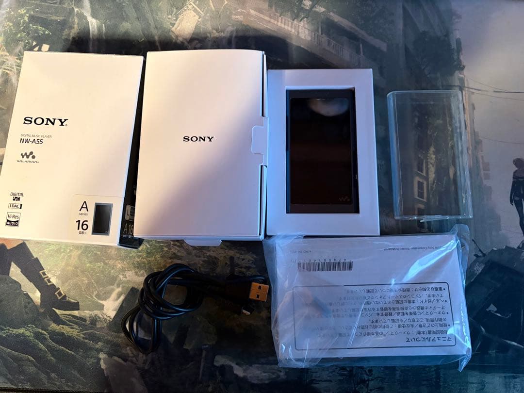 箱付きSONY ウォークマン NW-A55 16GB