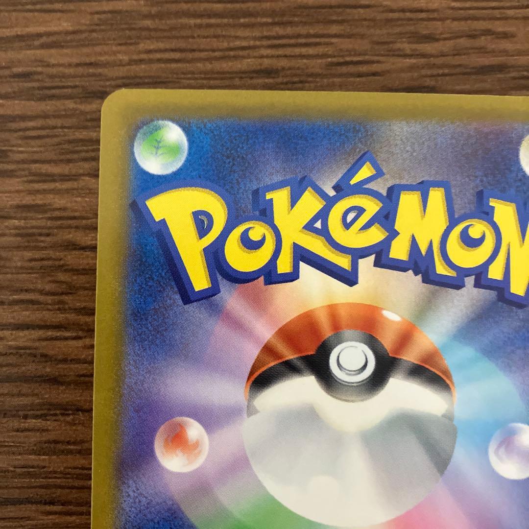 【美品・画像多数】カナリィSAR 1枚