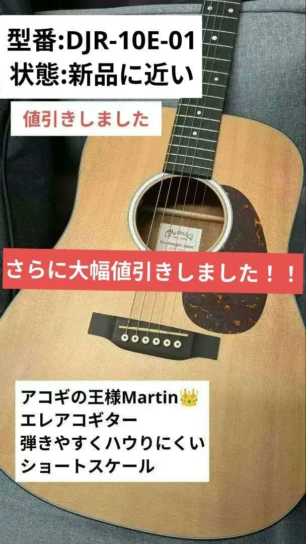 Martin & Co. アコースティックギター