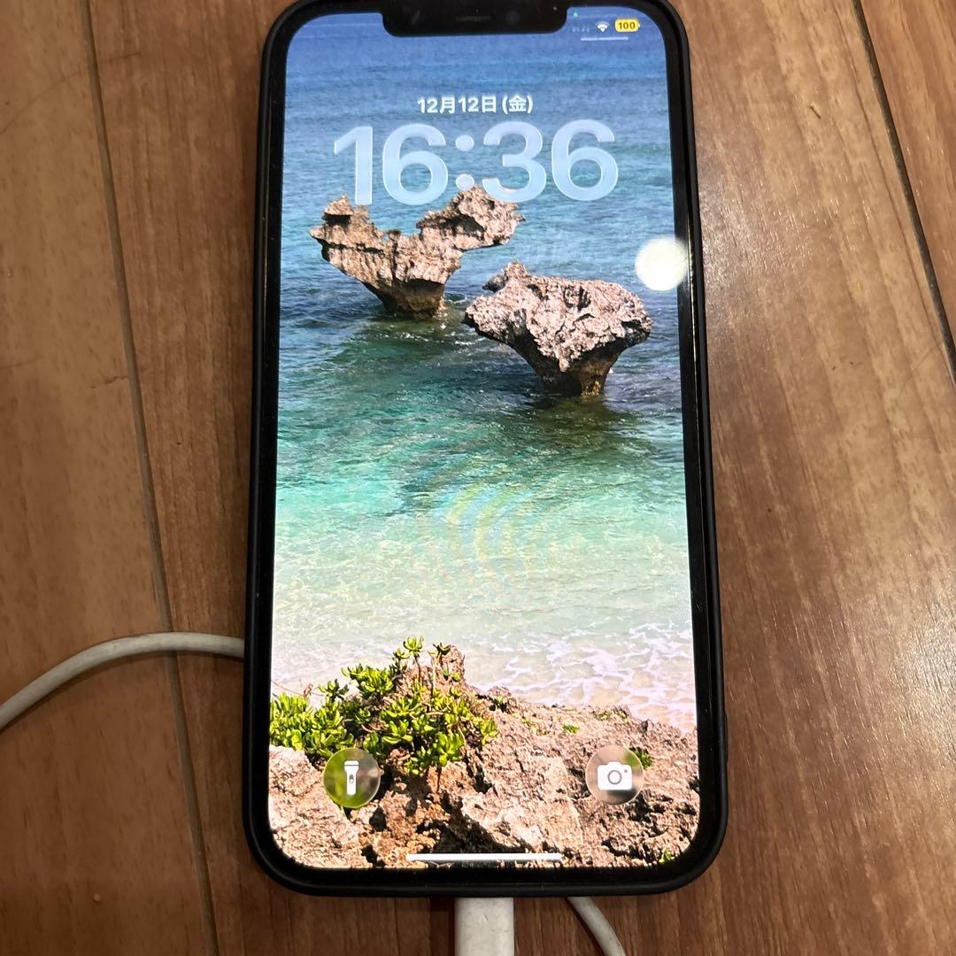 N*l様 iPhone12 Pro Max