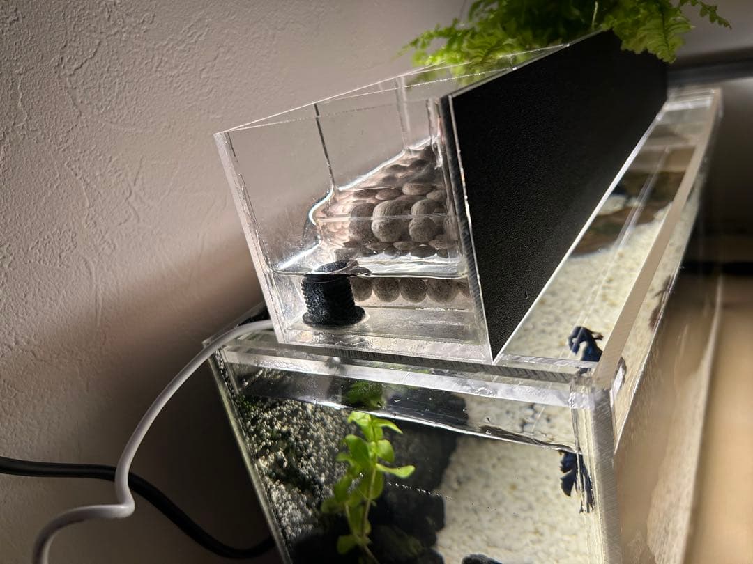 【格安】アクリル製ベタポニックス水槽