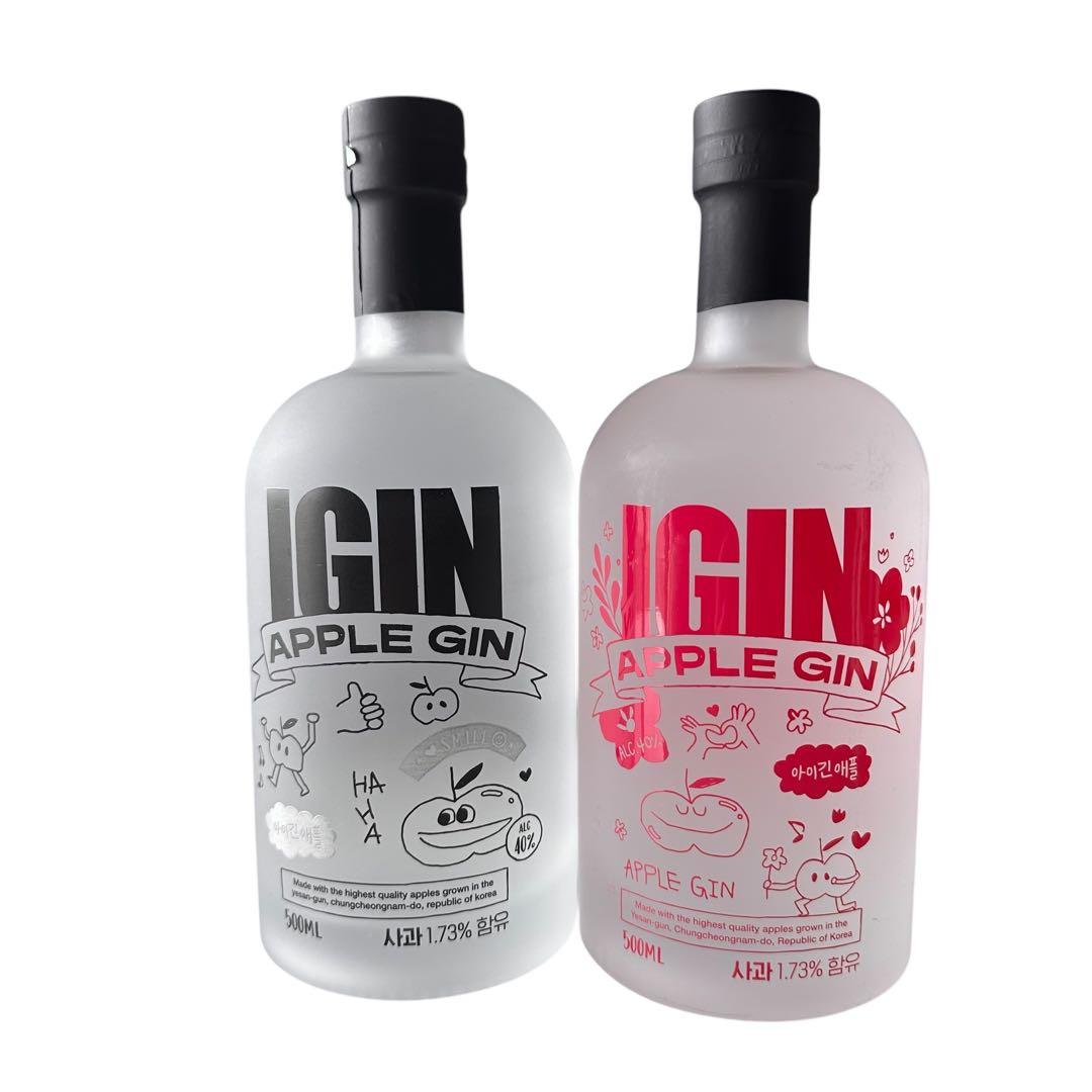 BTS ジン 韓国 IGIN APPLE GIN ２種セット ショッパー付