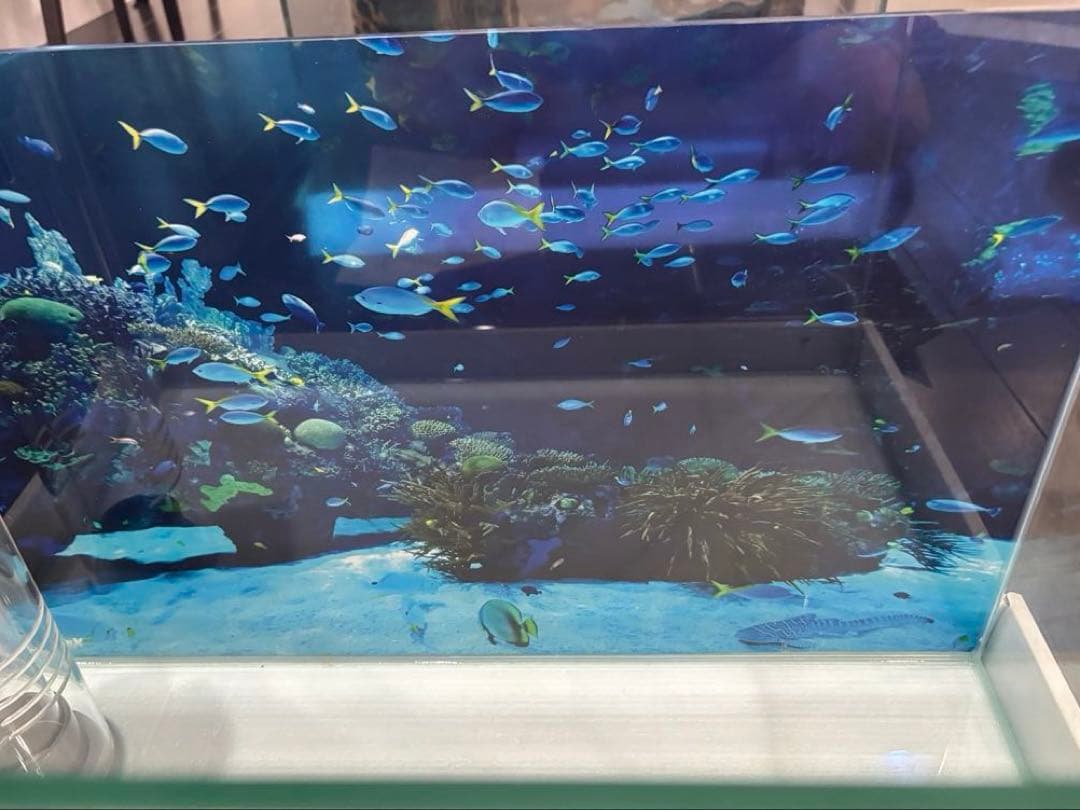 クロミス オーバーフロー水槽60x30x36,アクリル濾過槽,Rioポンプ