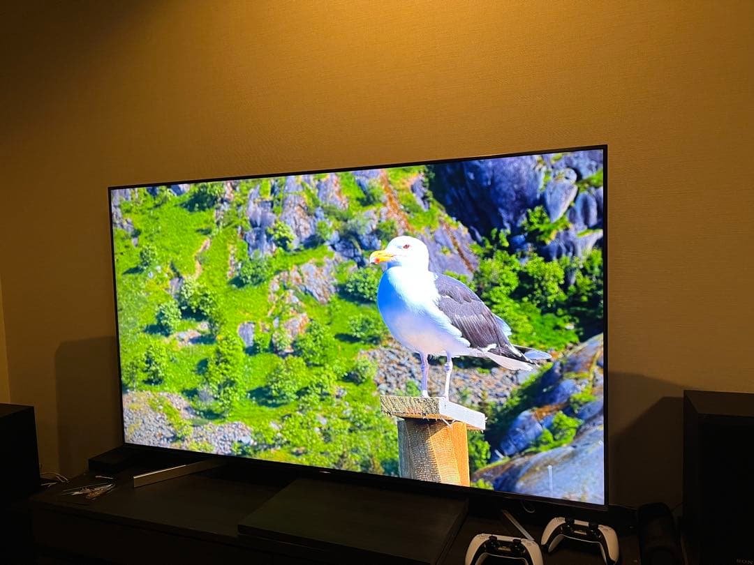 SONY BRAVIA KJ65X9000F 4K65インチ