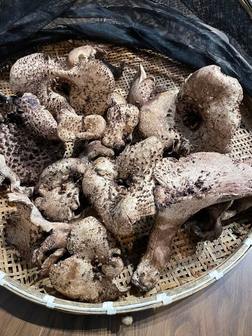 岩手県産　香茸　2.2kg