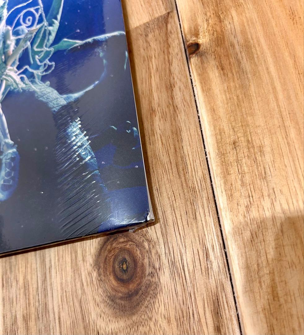 XG AWE -XG ver.- 2nd Mini Album LP レコード