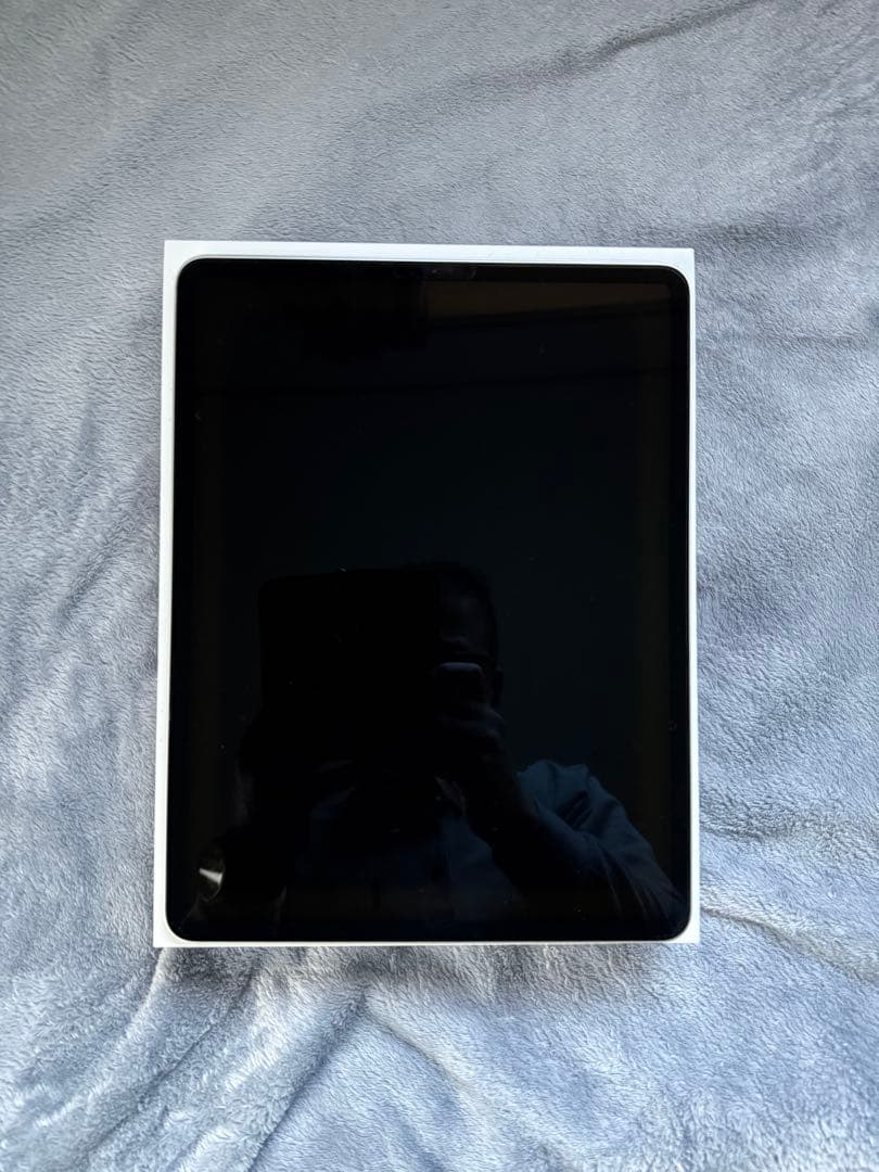 Apple iPad Pro 本体