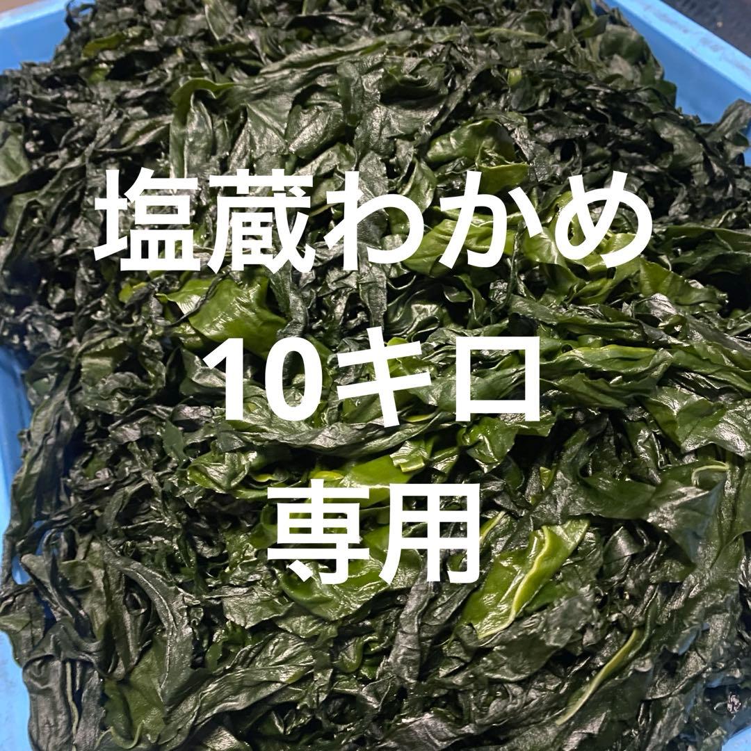 塩蔵わかめ　宮城県石巻産