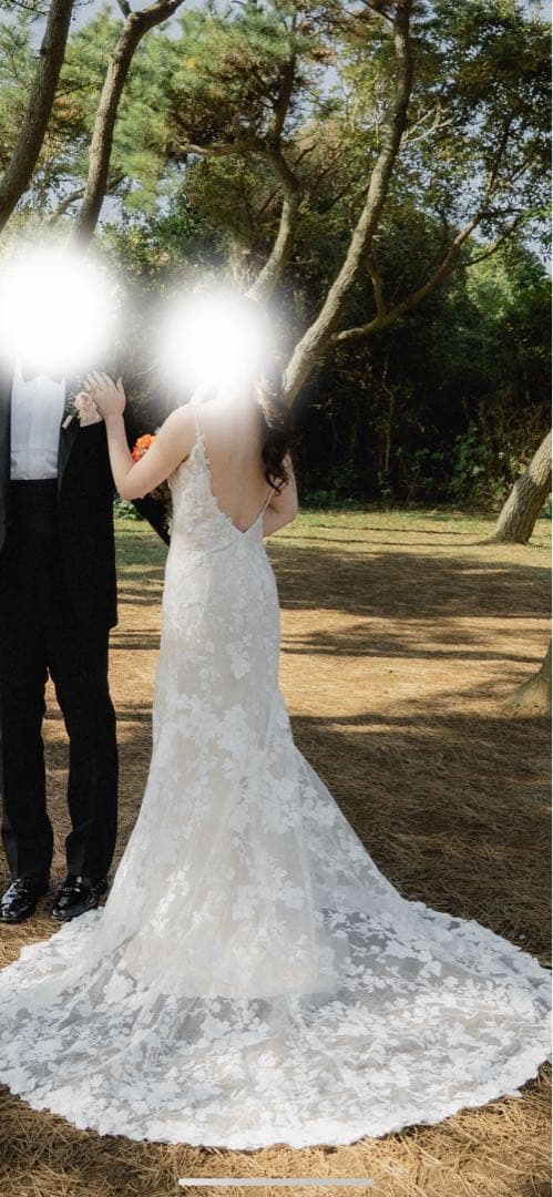 ドレスプロダクション　W230