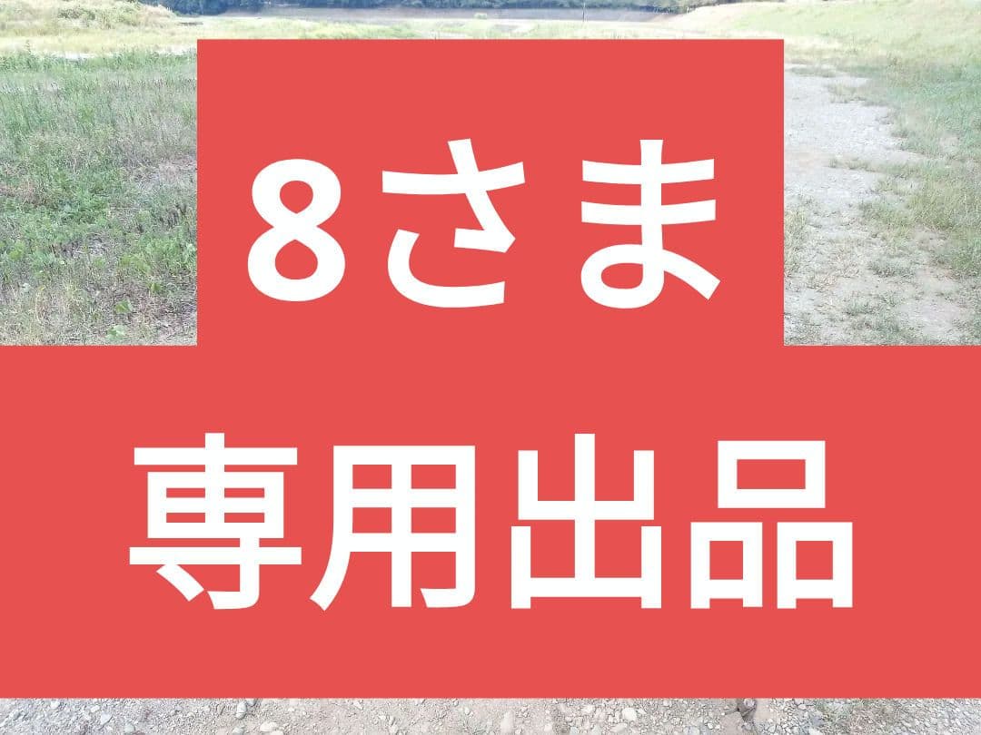 【軍幕】ハンガリー軍　テントシート2枚組　ハリケーン迷彩　希少