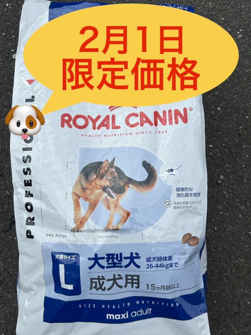  CANIN 　マキシアダルト ドライフード 16kg