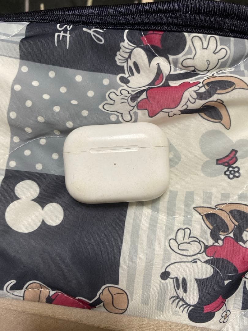 Apple AirPods Pro 本体 ホワイト