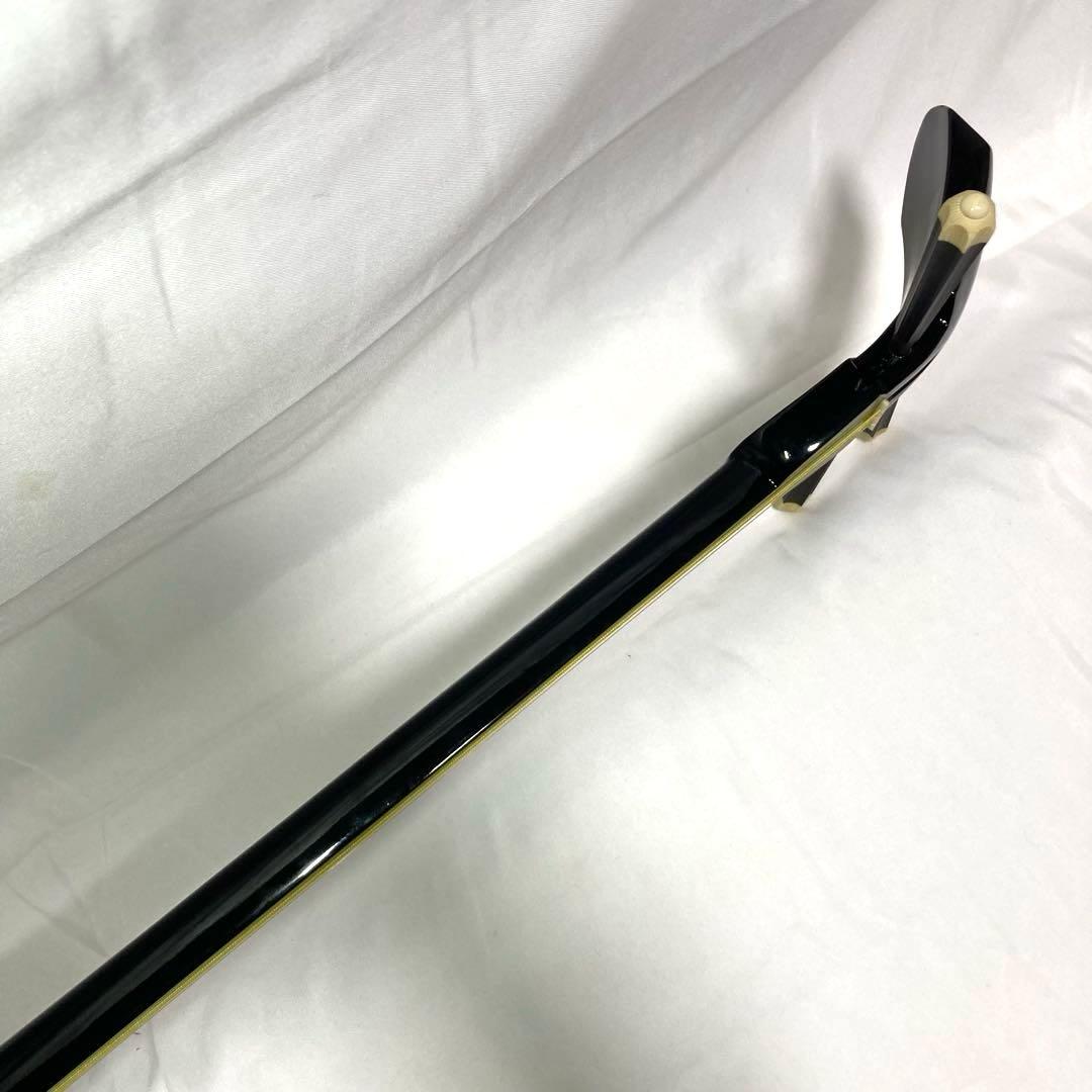 三線 沖縄 初心者 人工皮 蛇革 蛇皮 ハードケース 付属品 和楽器