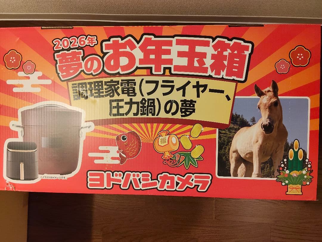 ヨドバシお年玉箱 2026年 電気圧力鍋 ノンフライヤー家電セット