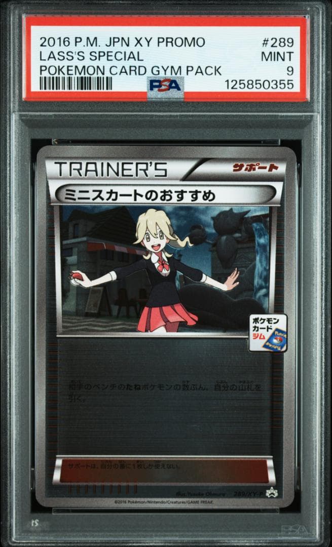 ミニスカートのおすすめ　289/XY-P　PSA9