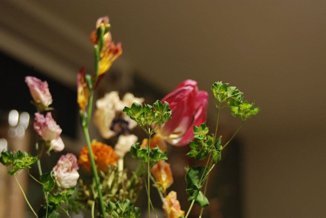 Nikon D80 CCDデジタル一眼 ニッコール　35-70レンズ付　動作品