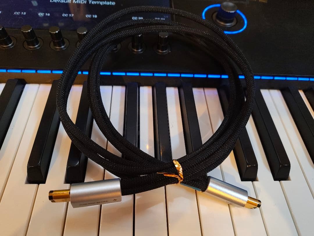 定価6万円 ACOUSTIC REVIVE firewireケーブル