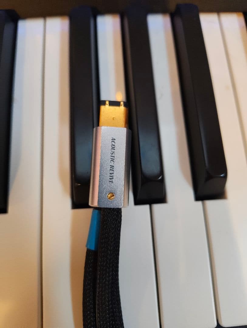 定価6万円 ACOUSTIC REVIVE firewireケーブル