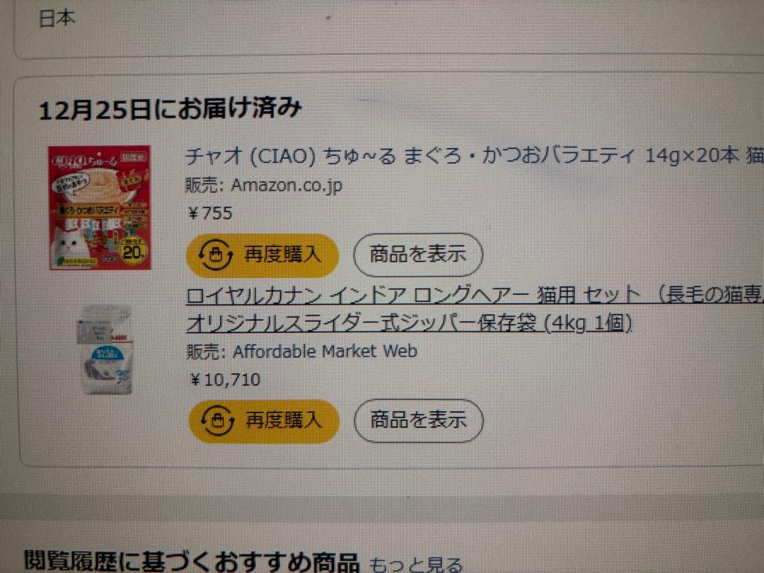 ロイヤルカナン✴︎ちゅーる付き　室内で生活する長毛の成猫用　インドア　 4kg