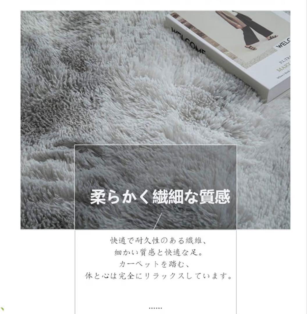 ふわふわ快適！洗える6畳用シャギーラグ 240×350cm