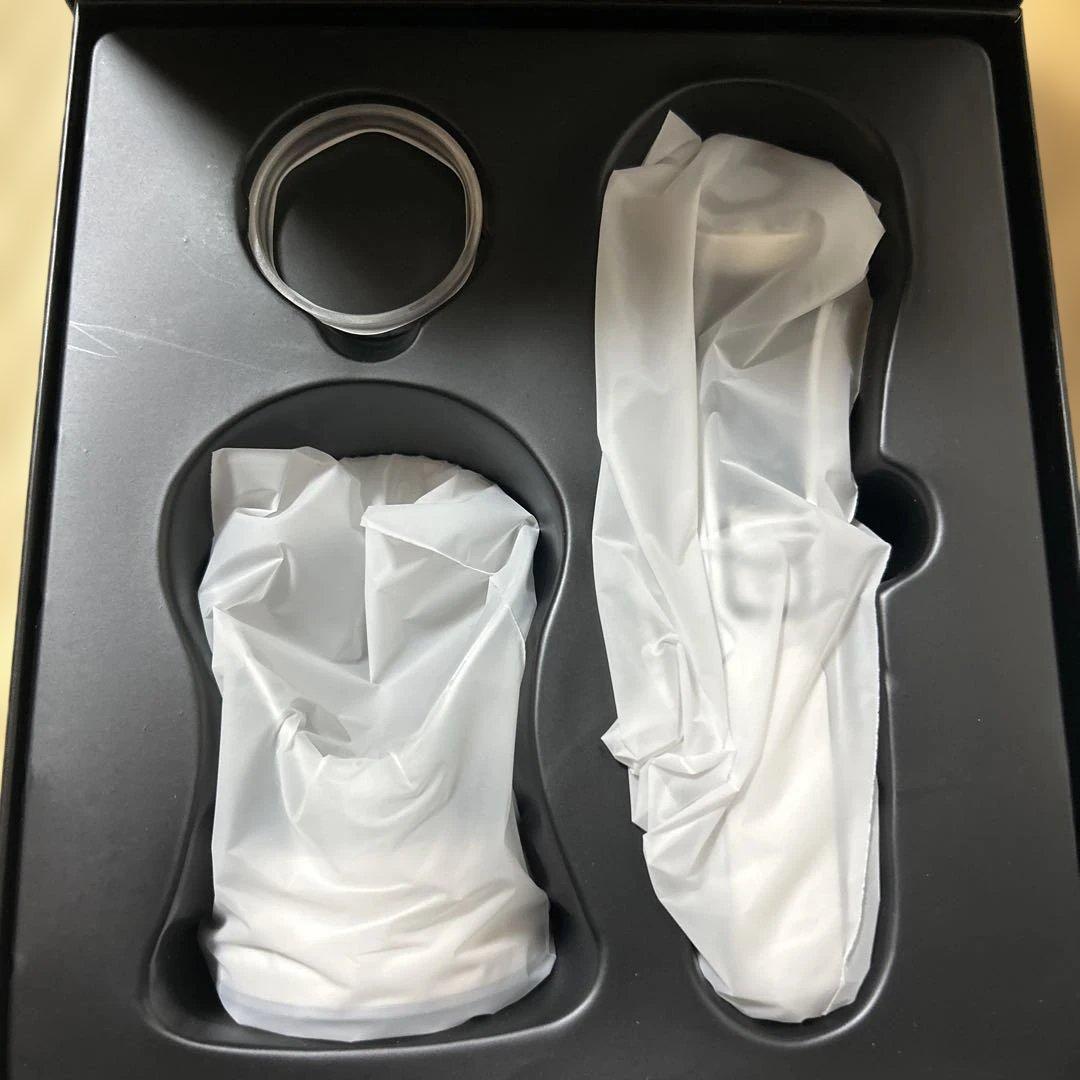 BEAUTY DEVICE RF美容器