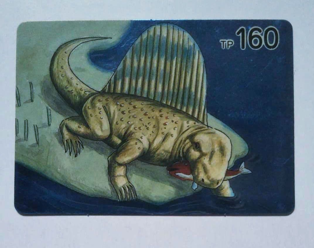 恐竜カード ディメトロドン コリス おまけカード ドラゴン ビジュアルカード