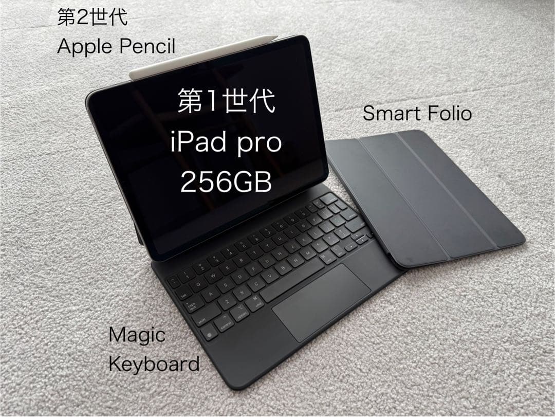 iPad Pro 11インチ 256GB (第1世代) + アクセサリ x 3点