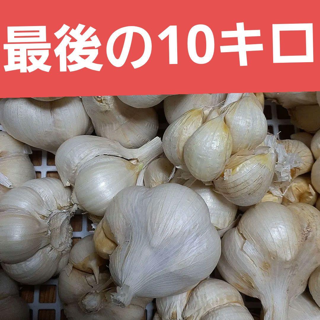 青森県産にんにく　10キロ