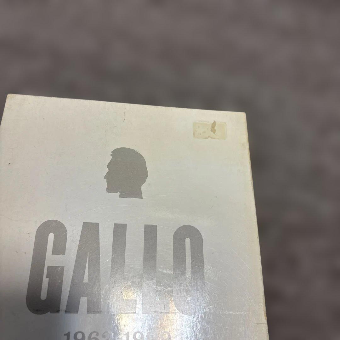 J5/ Vincent Gallo 1962-1999 ヴィンセント•ギャロ