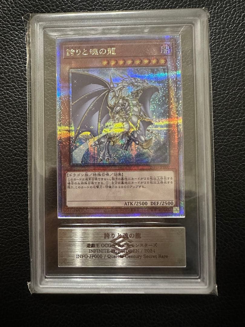 誇りと魂の龍　クオシク　ARS10+