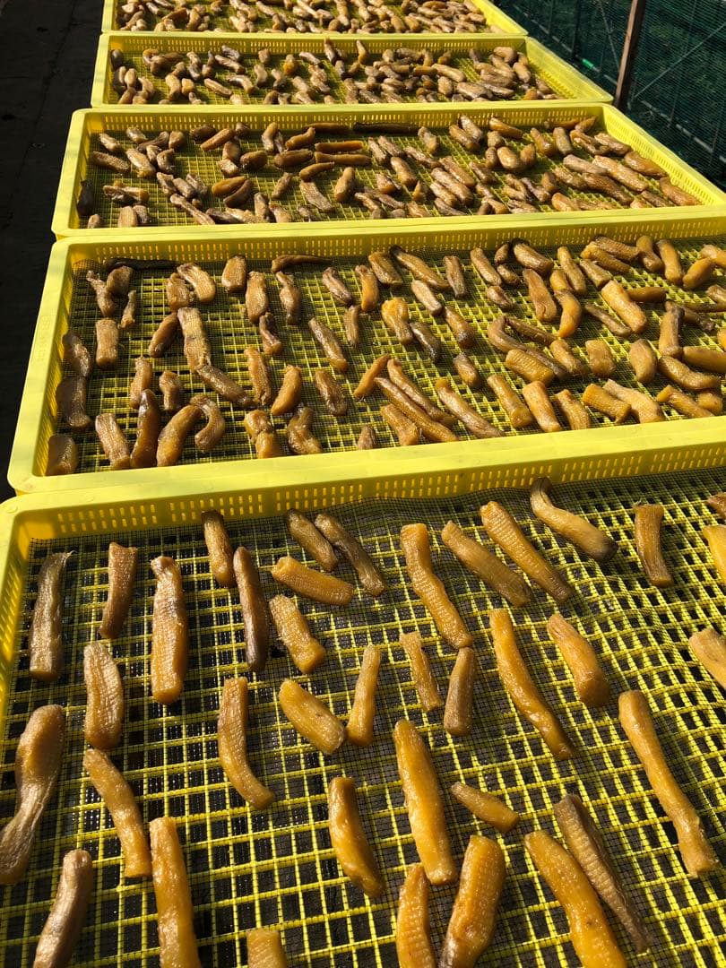 木小屋の干し芋ほしいも　紅はるか　熟成丸干し10k 完全天日干し