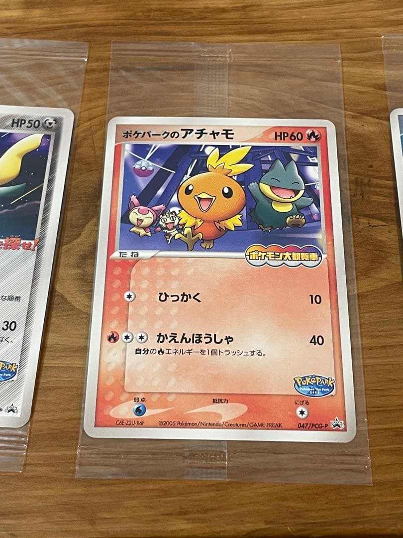 わんさん専用 ポケパークのジラーチ　アチャモ