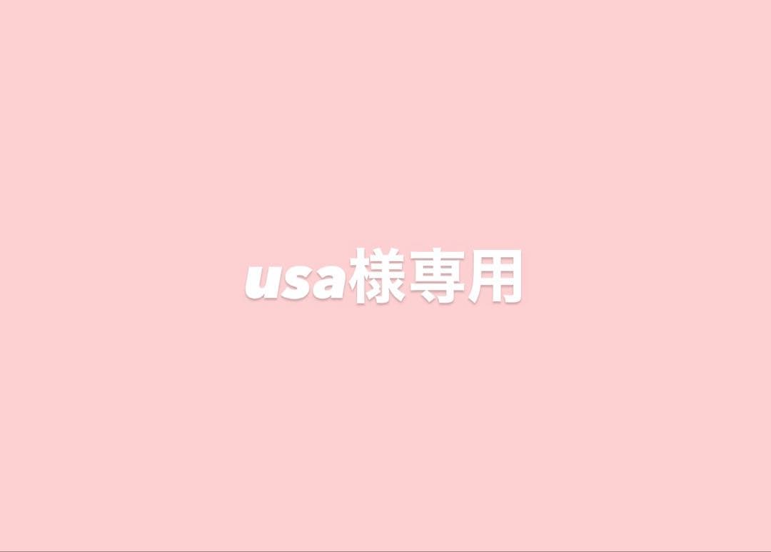 usaページ
