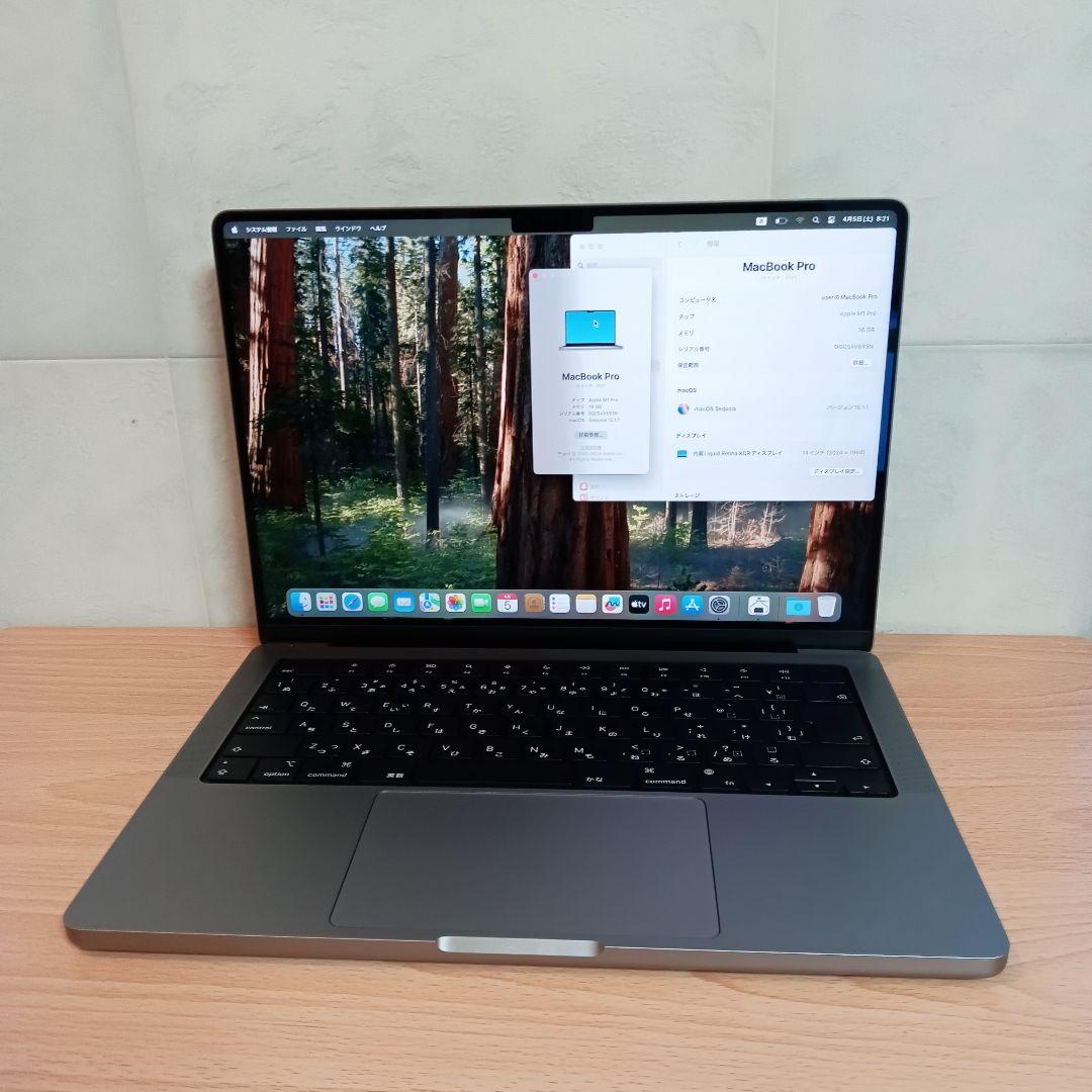 902激安早いもの勝ち✨️Apple ProM116GB　512GB