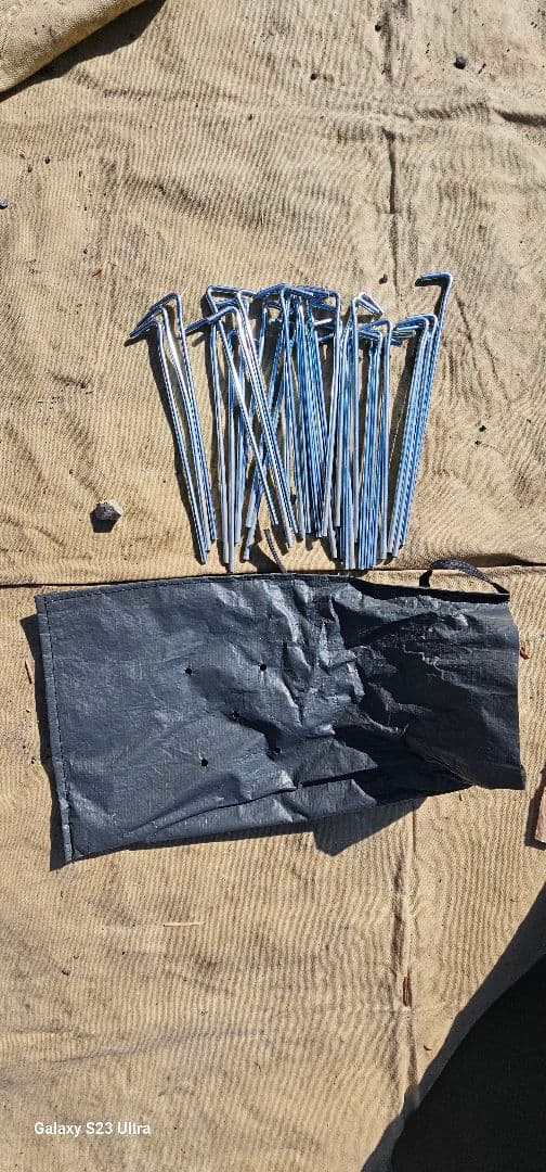 Coleman Coastline 3 Plus カーキ テント