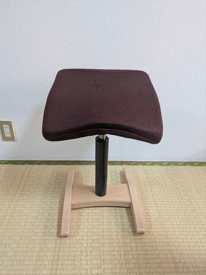 バランス シナジー　スクエア型　カバー付き　大人用 腰痛 対策 椅子