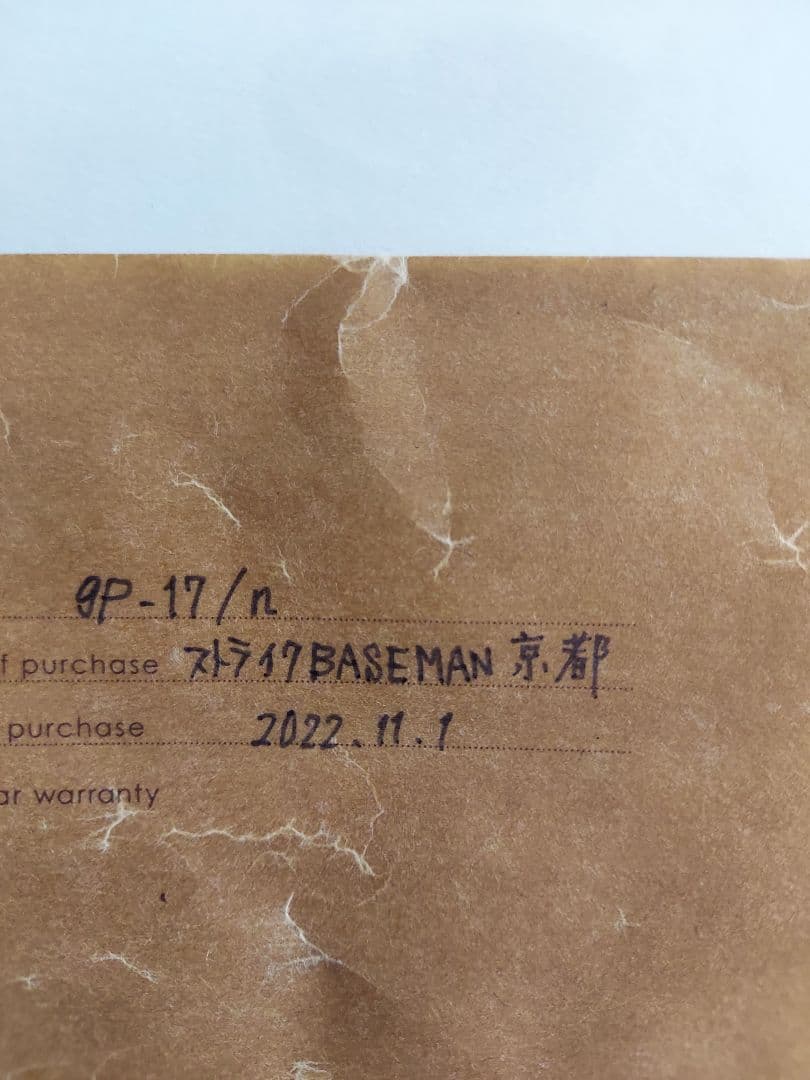 guépard 17 ブラック　ブラウンレンズ